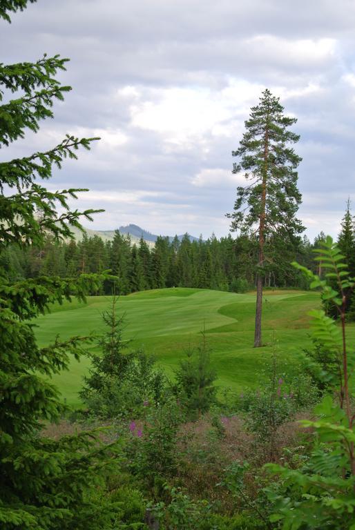 Trysil Alpin 16A Top Location Экстерьер фото